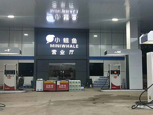 蘑菇视频黄色片